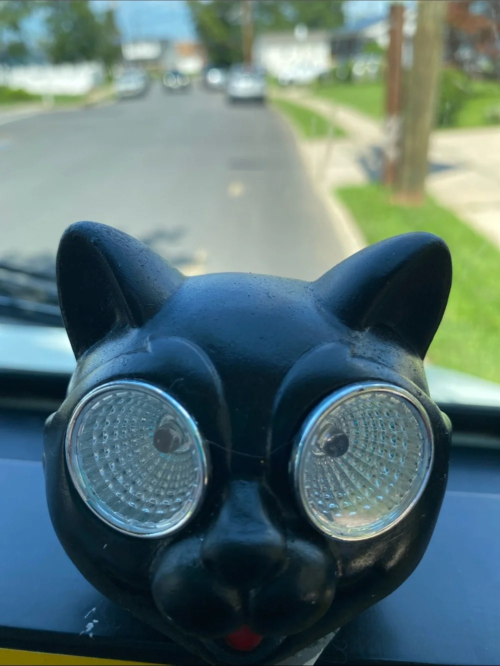 Black Cat Solar Decor